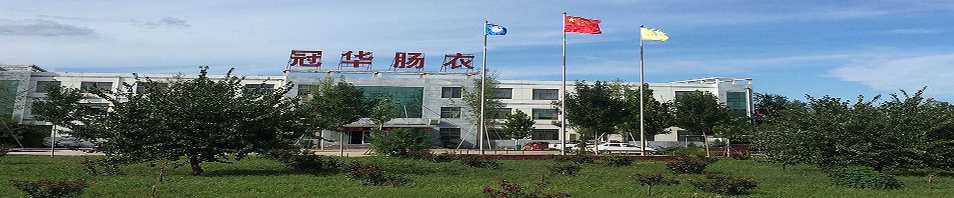 China collagen casing manufacturer & supplier Crown